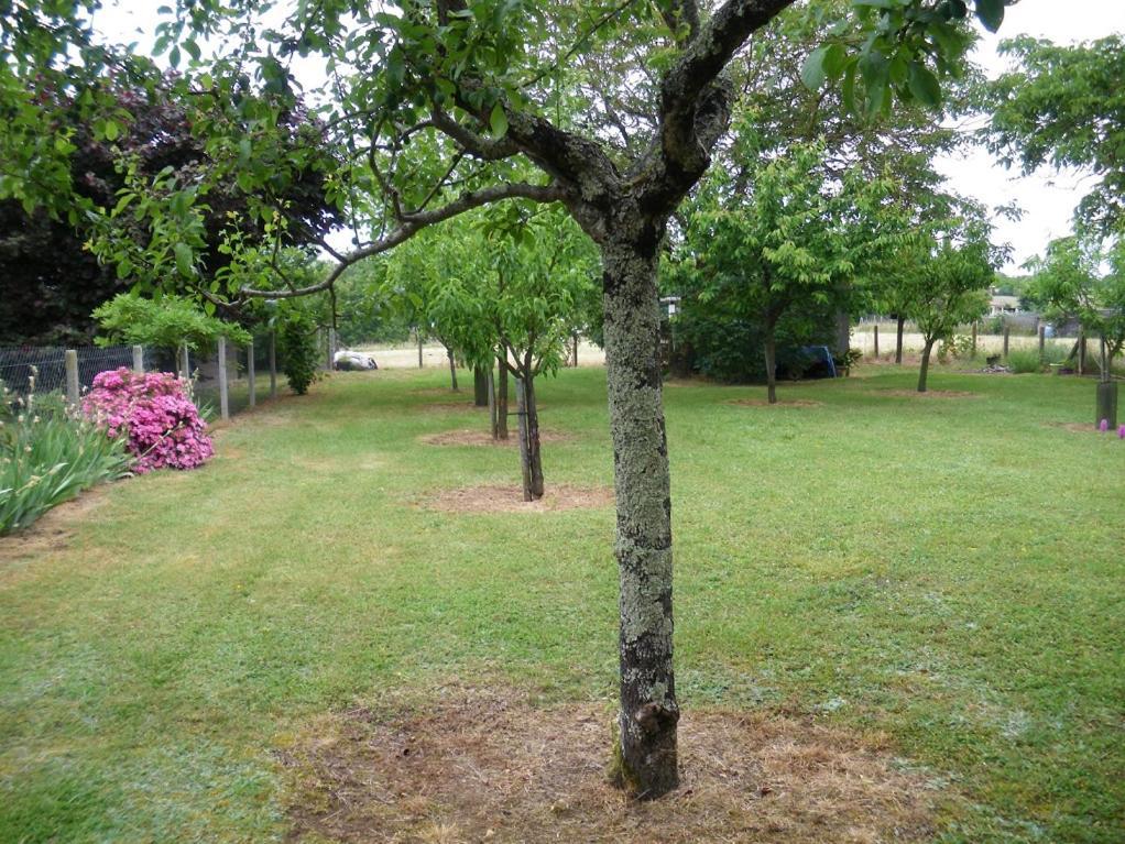 Gite Climatise Les Altheas Lanquais Εξωτερικό φωτογραφία